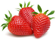 Erdbeerfrucht des Kasten-20kg/pulverisieren 1.0ppm führen keinen Geschmack für Eiscreme