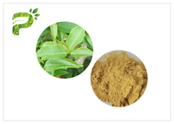 HPLC 2.0ppm 60 Mesh Green Health Powder mit höherer Tee-Polyphenolen
