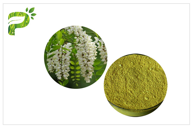 Blumen-Knospen-natürliche Energie ergänzt Pulver-Rutin des Vitamin-P von Sophora Japonica-Auszug